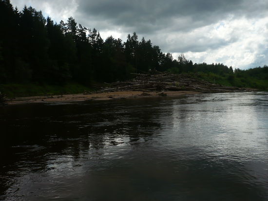 An dem angeschwemmten Treibholz sieht man, das die Gauja auch anders daherkommen kann