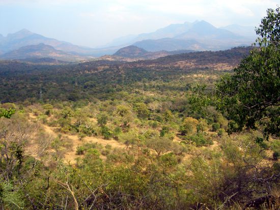 chinnar wildlife sanctuary