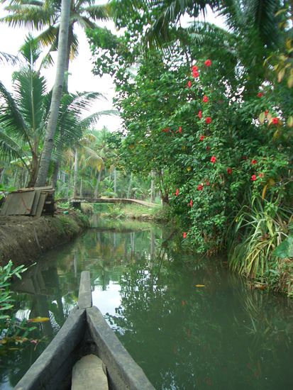 sicht vom stocherkahn aus