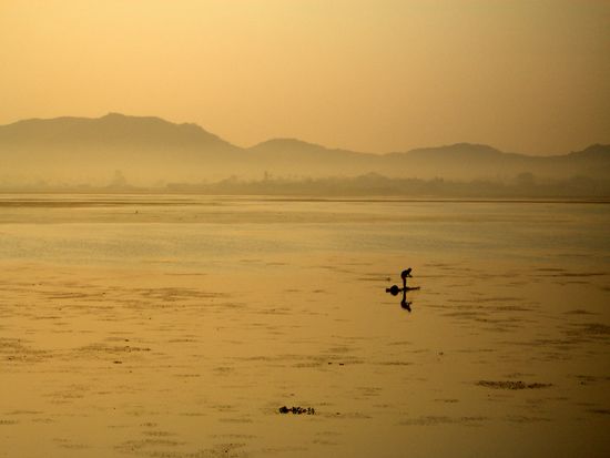 ...zwischen madurai und chennai. morgestimmung aus dem zug raus fotografiert...