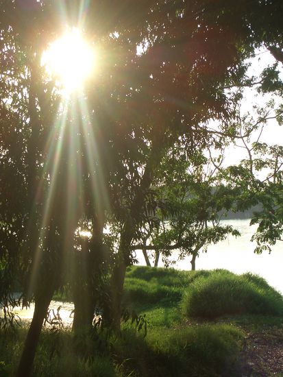 und nochmals im vogelschutzgebiet