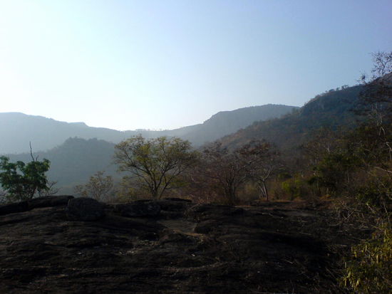 mudumalai nationalpartk gegen 6.30h in der früh