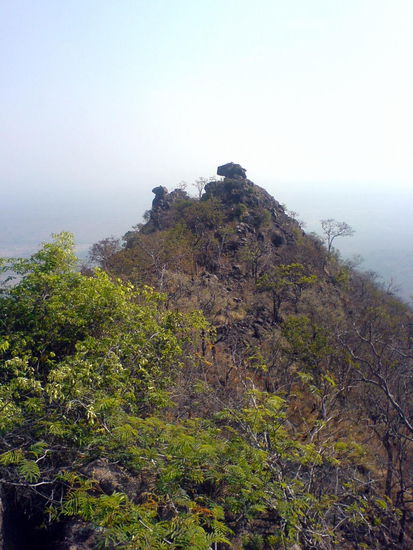 hier haben wir den tieger gehört 