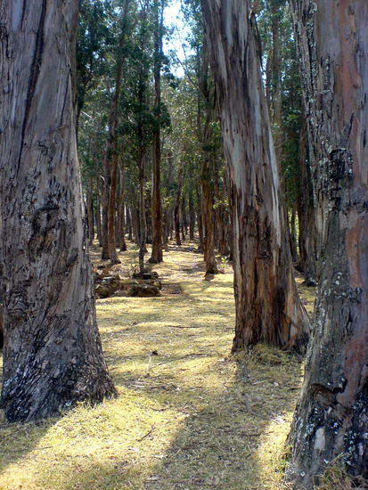 auf unserer wanderung...