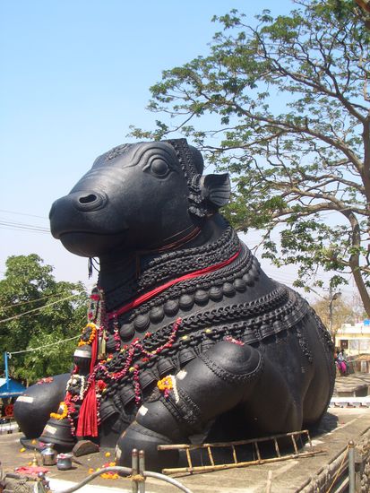 nandi, shivas reittier