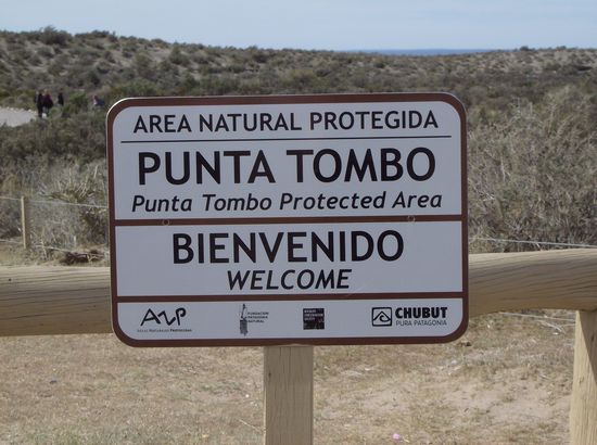 Willkommen im Pinguin-Reservat