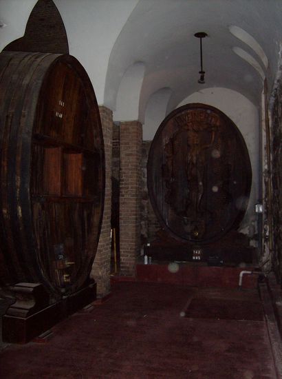 Bodegas