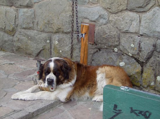 die Touristenattraktion schlechthin! tja ...