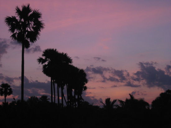 Und der allabendliche Ausblick vom Strand aus.