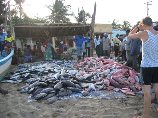 Fischberge am Strand