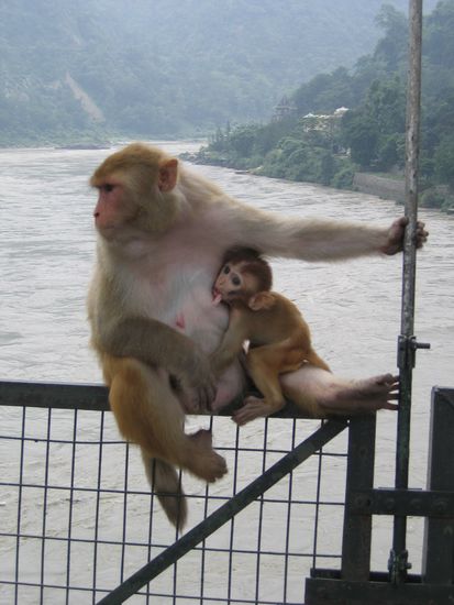 Ja Jens ich weiss zu klein fuer Dich!