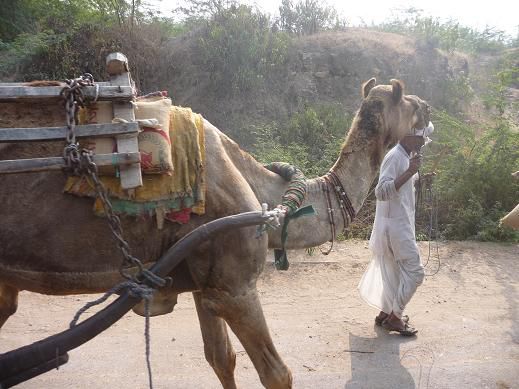 Auf dem Weg zur Safari