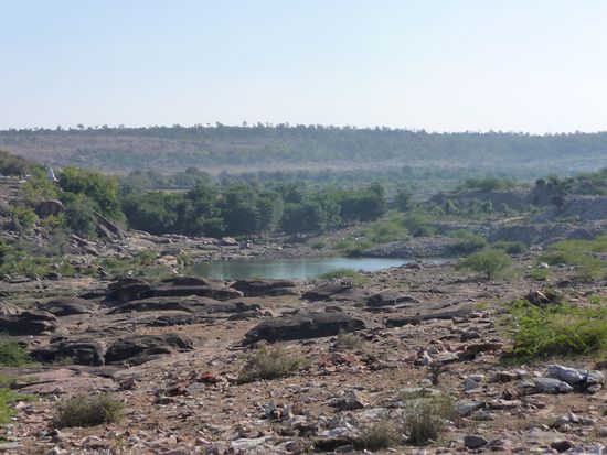 Flusslandschaft mit sattem Gruen