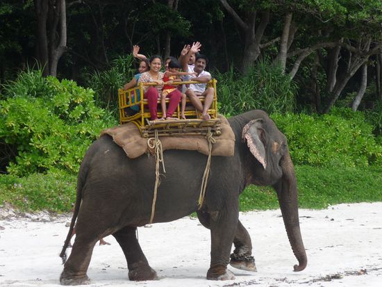 Indische Touristen auf Elefantensafarie am Beach Nr 7