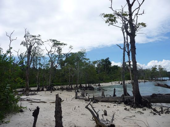 Auf dem letzten Stück zu Elephant Beach