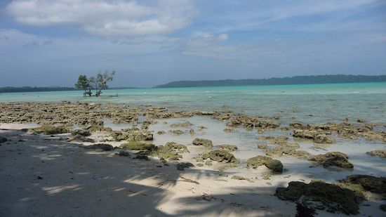 Abschied von Havelock