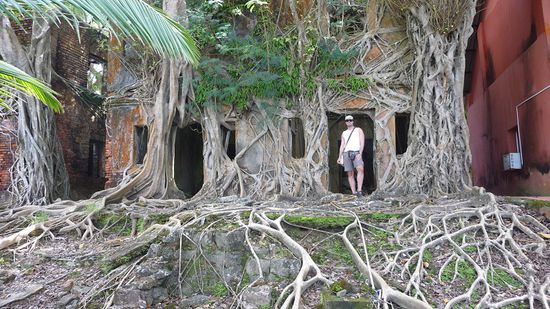 The nature strikes back....