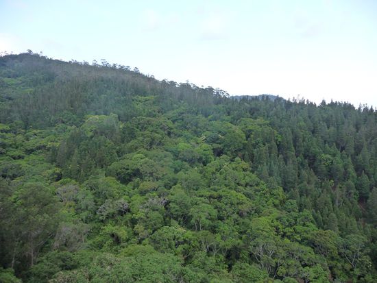 Blick aus dem Ressort