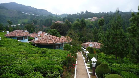 Blick vom Meditationszentrum auf die Anlage inmitten von Teepflanzen