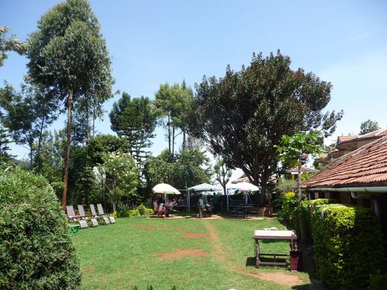 Der Garten mit Frühstücks- bzw. Mittagsessenbereich