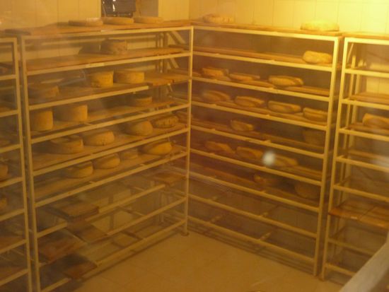 ...und lagert den Käse (Gouda, Gryer und PArmesan) bei 18 Grad.