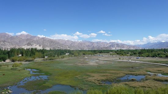 Kontrast gruen des Indus und beige der Berge...