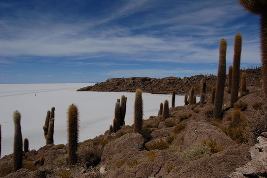 Von der Incahuasi auf die Salzwueste