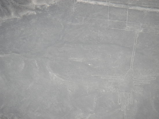 Historiker vermuten,dass dies Aufzeichnungen der Polizei ueber einen begangenen Vogelmord sind!