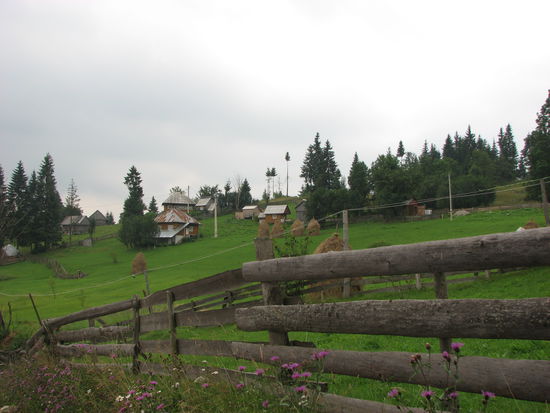 eine sehr schöne Gegend hier oben