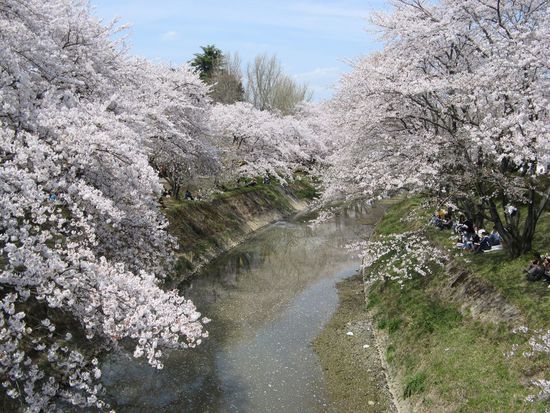 die Vollendung - auch fuer die zwei Nichtjapaner ein toller Anblick !