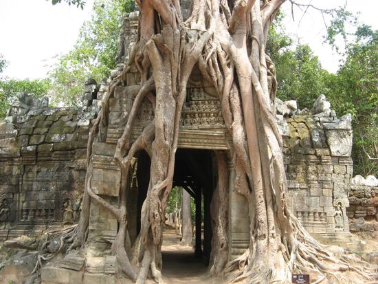 Indiana Jones - Micha in seinem Element
Kommentar Sandy: Achtung Indi !!!