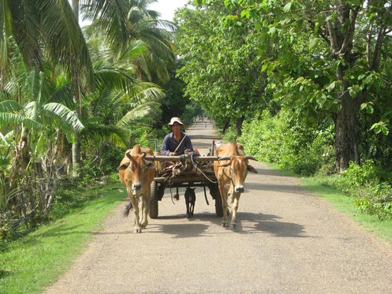 uebliches Transportmittel !