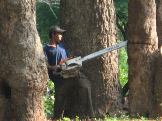 aber auch die modernere Welt zeigt sich ab und an... 
Kommentar Micha: hauptsache lang 
Laufverhalten i.O.