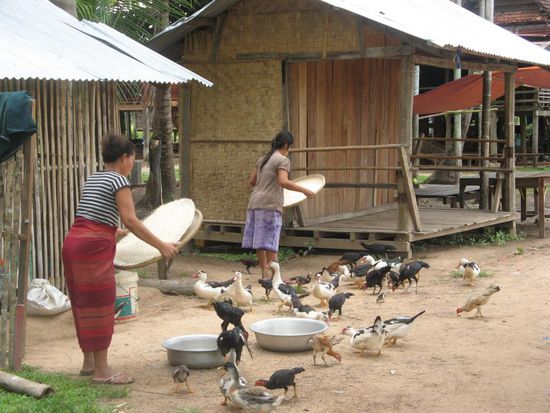 Traditionen leben noch