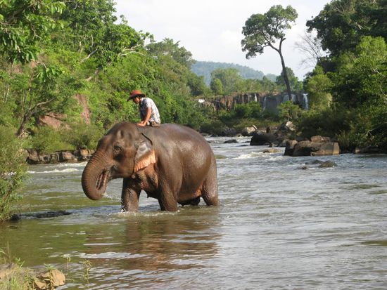 Dies ist der Blick von unserer Veranda...jeden Abend ein Genuss...