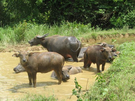 schon wieder die Touris...