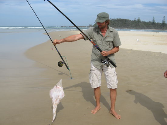 "Manta-Sand Hai"
leider nicht essbar 