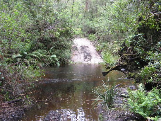 hey, das soll der Weg sein ???