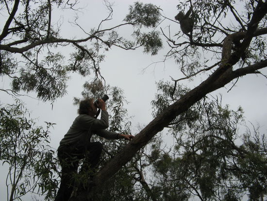 Sekunden vor dem Fall...