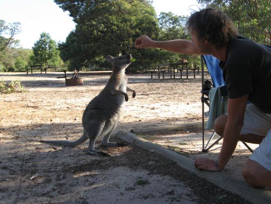 don`t feed wildlife
absolute Ausnahme !!!