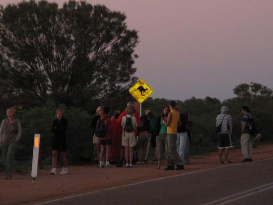 most are Germans and Japanese...