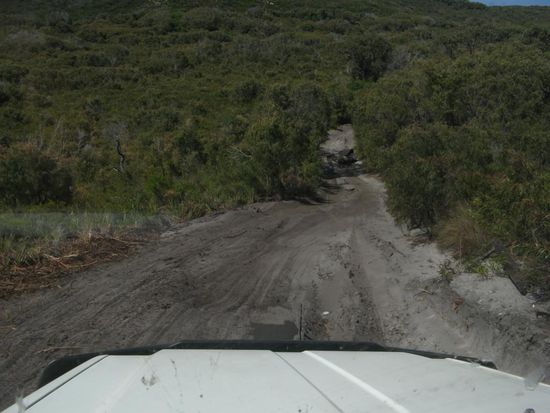 immer weiter runter...kein Problem