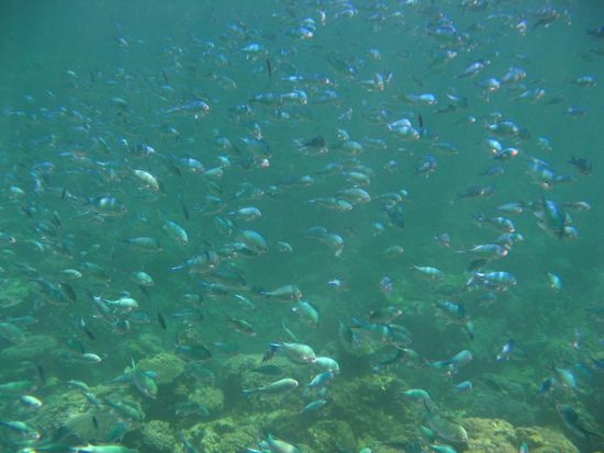 das Funkeln fasziniert !