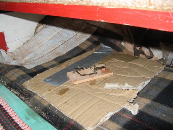 frisch gebratenem Haenchenfleisch kann keiner widerstehen !