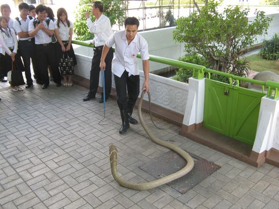 die Snake farm - wir sind beeindruckt  und machen nen kleinen Schritt zurueck 