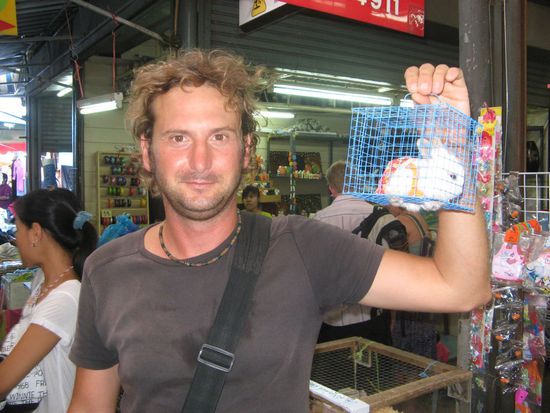 dann doch lieber ein Haeschen mit Anzug !