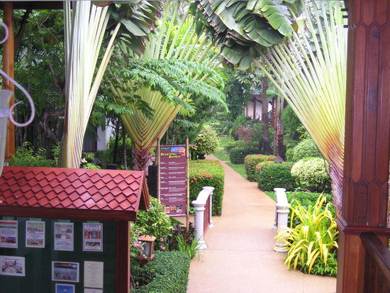 Blick nach draussen...