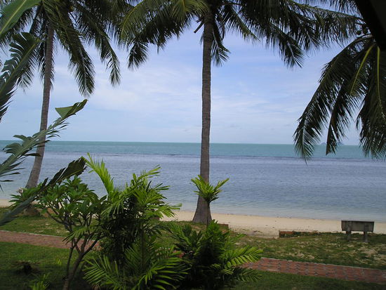 Direkter Blick vom Bungalow.