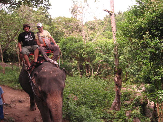 Stelzi und Halli beim "Belastungstest fuer Elefanten"