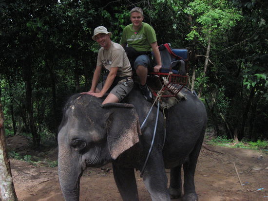 Trasse und Klemmi in der Elefanten-Fahrschule